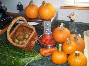 fall harvest 001