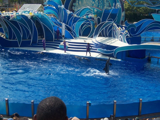 seaworld 002